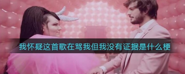 我怀疑这首歌在骂我但我没有证据是什么梗/意思 热梗含义出处
