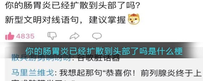 你的肠胃炎已经扩散到头部了吗是什么梗/意思 热梗含义出处