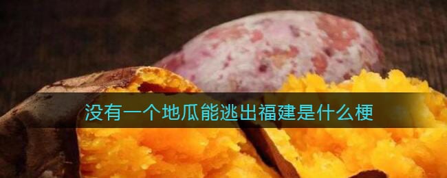 没有一个地瓜能逃出福建是什么梗/意思 热梗含义出处