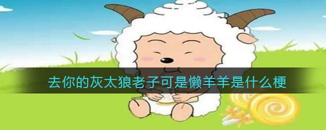 去你的灰太狼老子可是懒羊羊是什么梗/意思 抖阴热梗含义出处