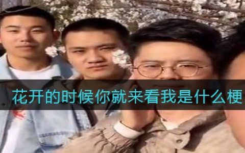 花开的时候你就来看我是什么梗/意思 抖阴热梗含义出处