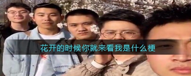 花开的时候你就来看我是什么梗/意思 抖阴热梗含义出处