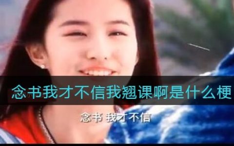 念书我才不信我翘课啊是什么梗/意思 抖阴热梗含义出处