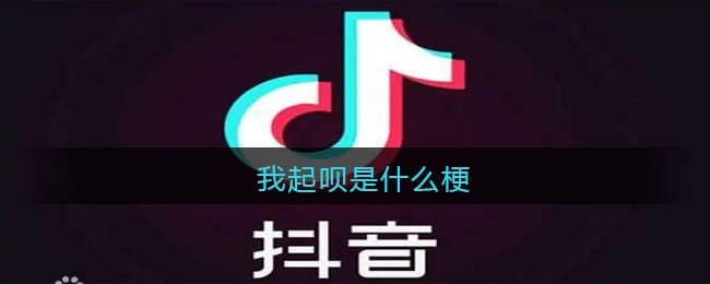 我起呗是什么梗/意思 抖阴我起呗无骨晓丽热梗含义出处