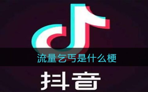 流量乞丐是什么梗/意思 抖阴流量乞丐热梗含义出处