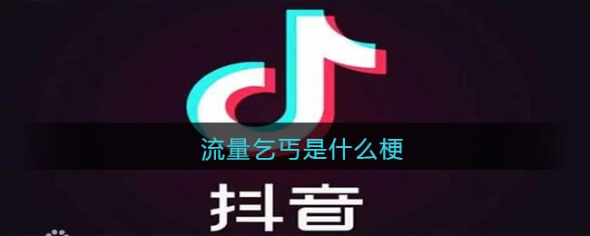 流量乞丐是什么梗/意思 抖阴流量乞丐热梗含义出处