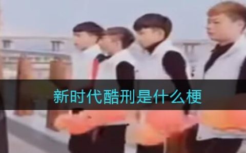 新时代酷刑是什么梗/意思 抖阴热梗含义出处