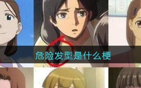 危险发型是什么梗/意思 抖阴热梗含义出处