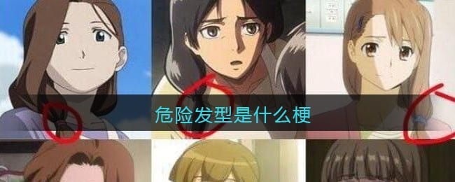 危险发型是什么梗/意思 抖阴热梗含义出处