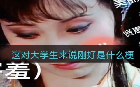 这对大学生来说刚好是什么梗/意思 抖阴热梗含义出处