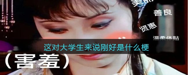 这对大学生来说刚好是什么梗/意思 抖阴热梗含义出处