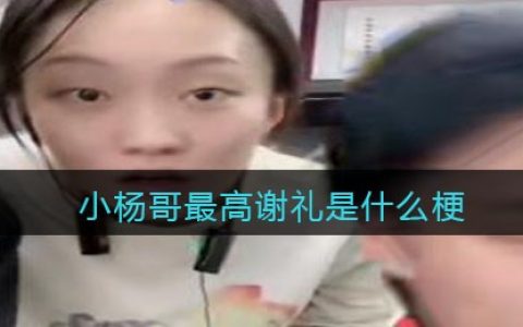 小杨哥最高谢礼是什么梗/意思 抖阴热梗含义出处