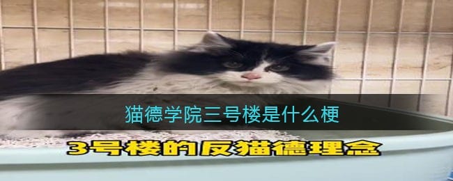 猫德学院三号楼是什么梗/意思 抖阴热梗含义出处