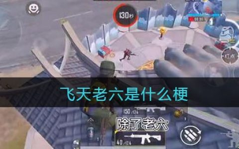 飞天老六是什么梗/意思 抖阴热梗含义出处