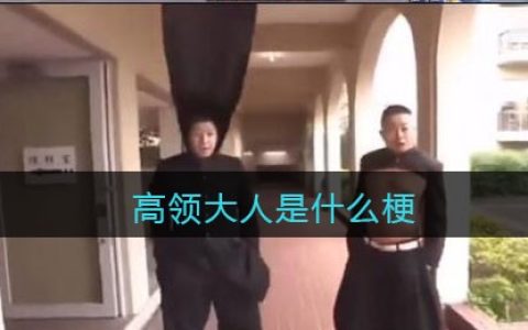 高领大人是什么梗/意思 抖阴热梗含义出处