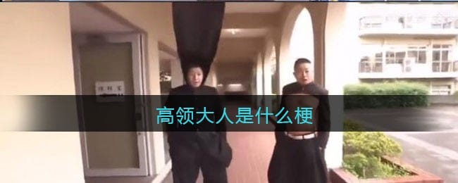 高领大人是什么梗/意思 抖阴热梗含义出处