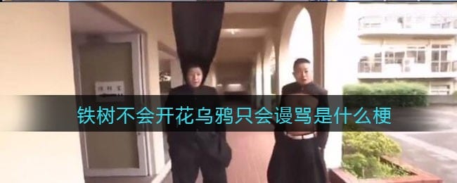 铁树不会开花乌鸦只会谩骂是什么梗/意思 抖阴热梗含义出处