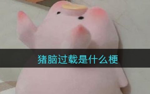 猪脑过载是什么梗/意思 抖阴热梗含义出处
