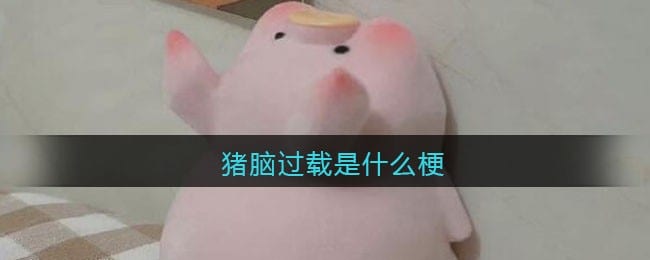猪脑过载是什么梗/意思 抖阴热梗含义出处