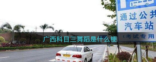 广西科目三舞蹈是什么梗/意思 抖阴热梗含义出处