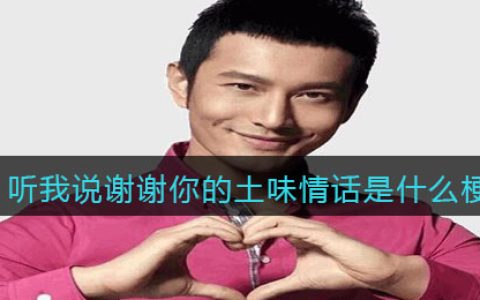听我说谢谢你的土味情话是什么梗 抖阴热梗含义出处分享