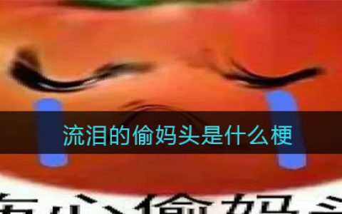 流泪的偷妈头是什么梗/意思 抖阴热梗含义出处分享
