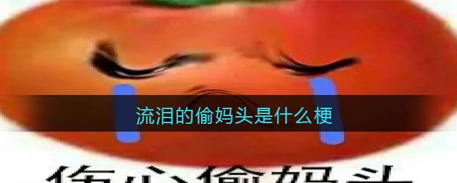 流泪的偷妈头是什么梗/意思 抖阴热梗含义出处分享