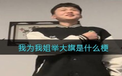 我为我姐举大旗是什么梗/意思 抖阴热梗含义出处分享