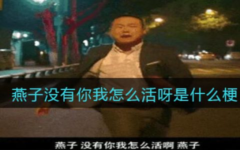 燕子没有你我怎么活呀是什么梗/意思 抖阴热梗含义出处分享