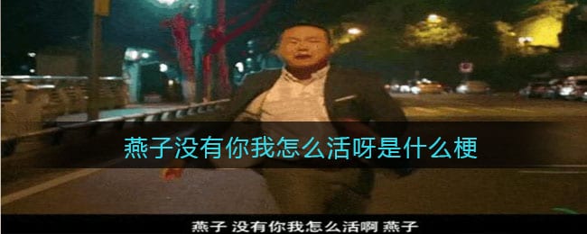 燕子没有你我怎么活呀是什么梗/意思 抖阴热梗含义出处分享