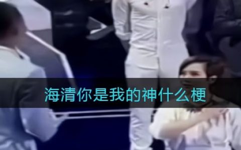 海清你是我的神是什么梗/意思 抖阴热梗含义出处分享