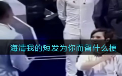 海清我的短发为你而留是什么梗/意思 抖阴热梗含义出处分享