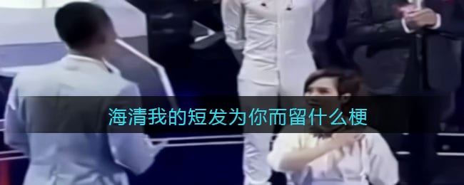 海清我的短发为你而留是什么梗/意思 抖阴热梗含义出处分享