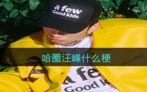 哈圈汪峰是什么梗 抖阴哈圈汪峰马思唯什么意思