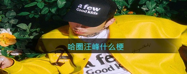 哈圈汪峰是什么梗 抖阴哈圈汪峰马思唯什么意思