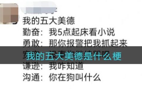 我的五大美德是什么梗 抖阴我的五大美德是什么意思