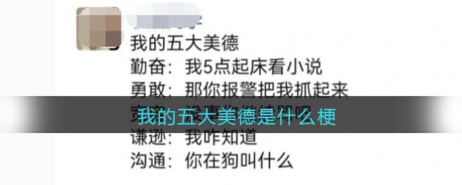 我的五大美德是什么梗 抖阴我的五大美德是什么意思