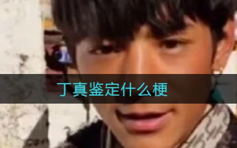 丁真鉴定什么梗 丁真鉴定什么意思