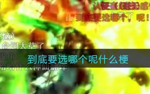 到底要选哪个呢什么梗 到底要选哪个呢什么意思