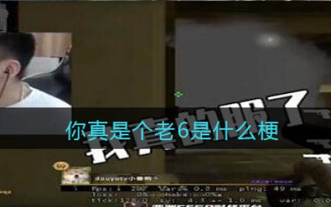你真是个老6什么梗 你真是个老6什么意思