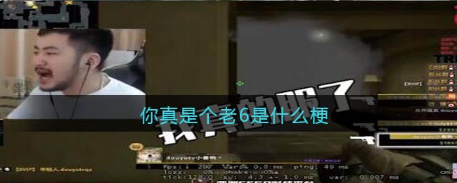 你真是个老6什么梗 你真是个老6什么意思