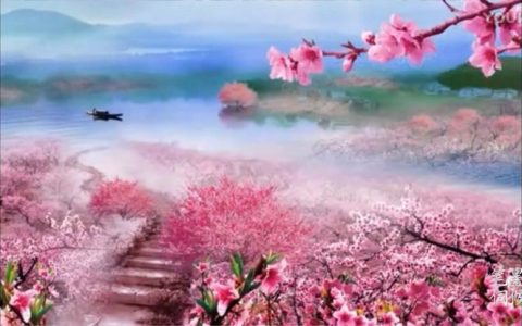 抖阴广告费,抖阴有20万粉丝一次广告费多少钱