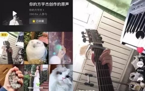 抖阴小店热度,抖阴小店商品价格怎么填才不会亏本？
