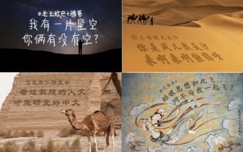 抖阴 温婉,抖阴温婉为什么封了。