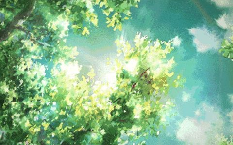 抖阴作品怎么删除,怎么删除抖阴作品