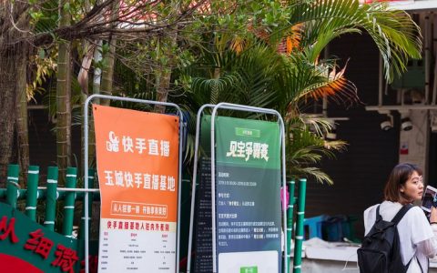 杨紫抖阴,杨紫抖阴的名字？