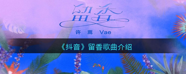 《抖阴》留香歌曲介绍 抖阴歌曲歌词