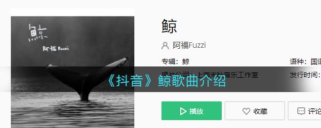 《抖阴》鲸歌曲介绍 鲸歌曲歌词