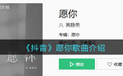 《抖阴》愿你歌曲介绍 愿你歌曲歌词