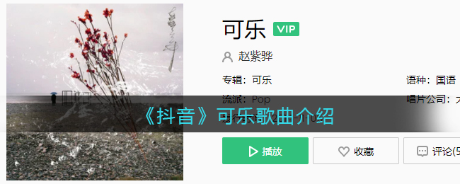《抖阴》可乐歌曲介绍 可乐歌曲歌词